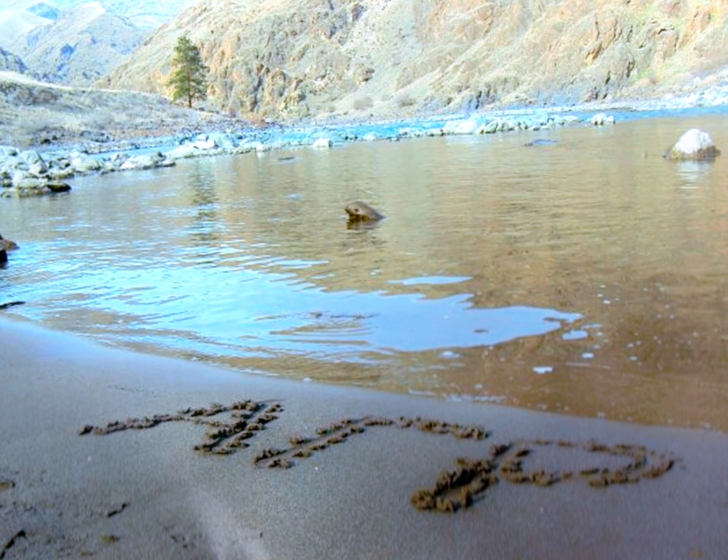 AGR_River_Picture.jpg